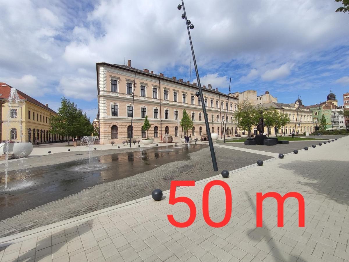 Apartment Kossuth Garden Debrecen